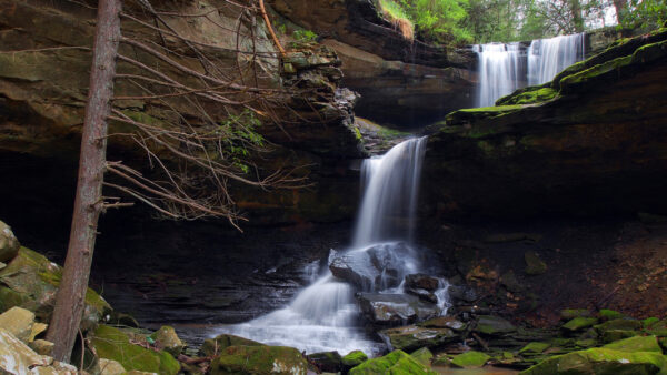 Wallpaper From, Waterfalls, Nature, Covered, Green, Trees, Rocks, Algae, Stones