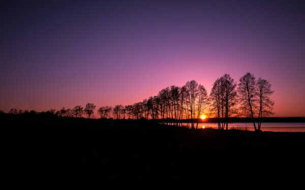 Wallpaper Sunset, Silhouette