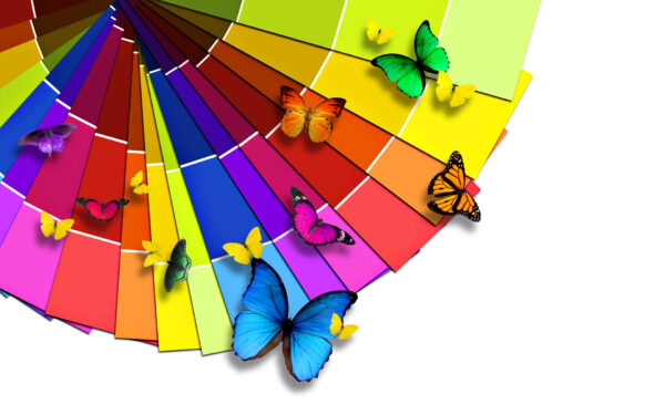 Wallpaper Butterflies, Colorful
