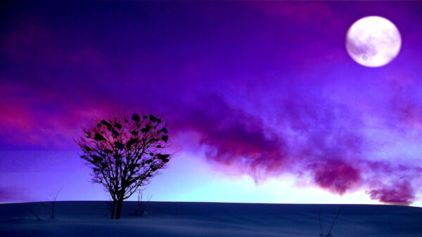 Wallpaper Purple, Time, During, Cloud, Night, Moon, Desktop