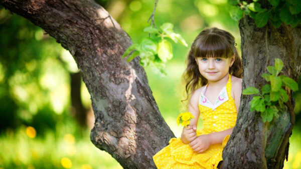 Wallpaper Baby, Wearing, Dress, Tree, Desktop, Yellow, Blue, Flower, Between, Trunk, During, Daytime, Eyes, Sitting, Hand, Having, Cute