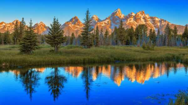 Wallpaper Reflection, River, Park, Nature, Desktop, And, Trees, National, Mountain, View, With, Teton, Mobile, Grand, Landscape