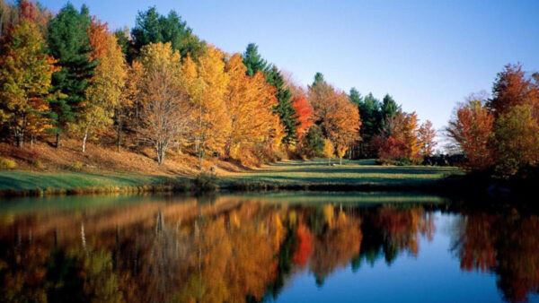 Wallpaper Forest, Nature, Autumn, Reflection, Trees, Lake, Desktop, With, Colorful