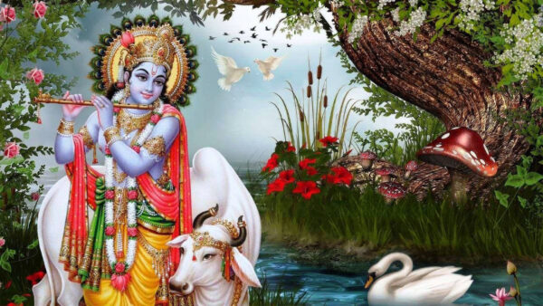 Wallpaper Krishna, Nature, God, Background