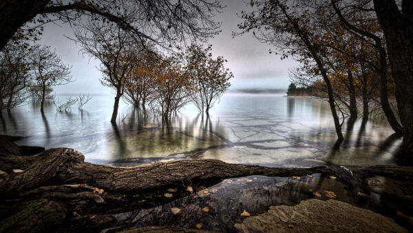 Wallpaper Lake, Fall, Trees, During, Nature, Desktop, With, Around, Mobile, Fog