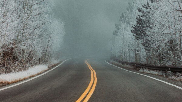 Wallpaper Nature, Turn, Road, Trees, Between, Snow, Forest, Covered