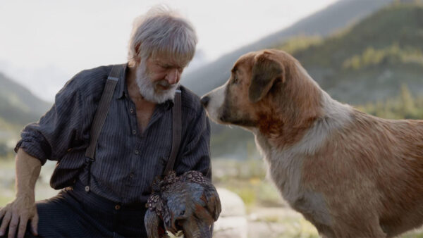 Wallpaper John, Wild, The, Call, And, Mountain, Desktop, Movies, Thornton, Dog, Background