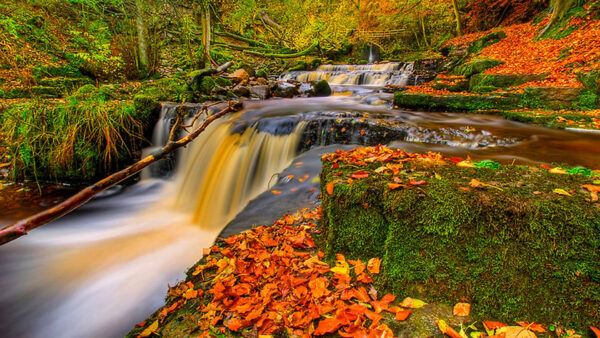 Wallpaper Waterfall, Dry, Covered, Colorful, Between, Rocks, Nature, With, Stream, Leaves, Algae