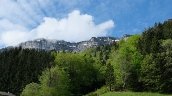 Wallpaper Black, Nature, Mobile, Desktop, Snow, Trees, Forest, Clouds, Rocks, Grass, Mountain, Sky, Field