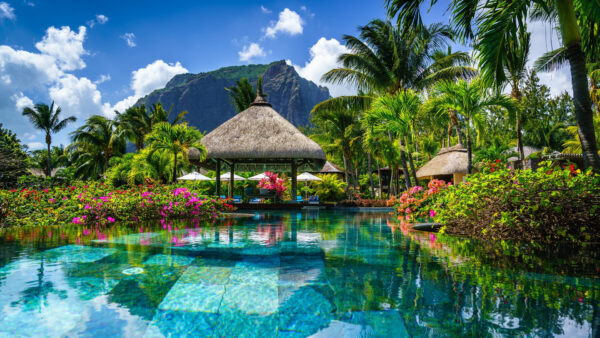 Wallpaper Flowers, Pond, Trees, Under, Blue, Reflection, Palm, Colorful, Greenery, Bushes, Mountain, Nature, Beautiful, Sky, Hut