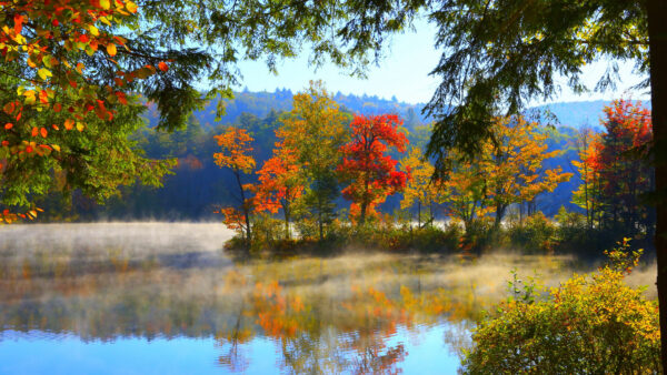 Wallpaper Water, Desktop, Beautiful, Trees, Reflection, Scenery, Autumn, Colorful