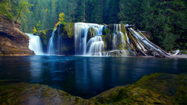 Wallpaper River, Green, Beautiful, Trees, Background, Covered, Forest, Pouring, Rocks, Algae, Nature, Waterfalls