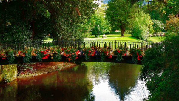 Wallpaper Above, Water, Trees, With, Between, Bridge, Flowers, Green, Desktop, Beautiful, Colorful