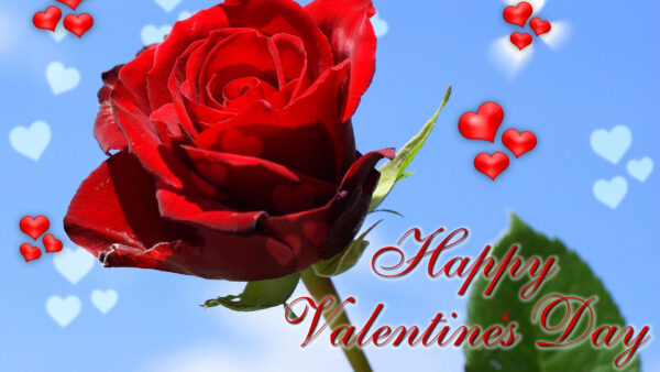 Wallpaper Red, Sky, With, Valentines, Rose, Background, Day, Happy, Word