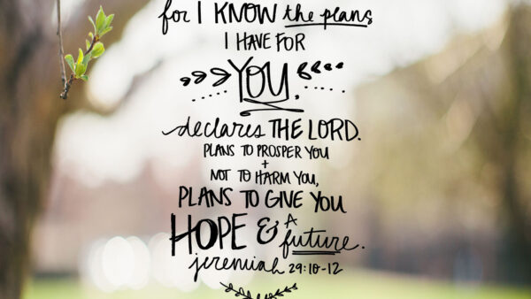 Wallpaper Verse, Know, You, The, Plans, Have, Declares, For, Lord, Bible
