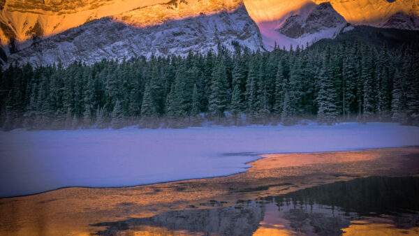 Wallpaper River, Mountain, Trees, Nature, Landscape, Reflection, View, Spruce, Snow, Capped