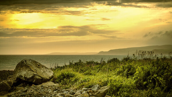 Wallpaper Stones, Sunset, Desktop, Nature, Beautiful, Rocks, Grass, Ocean, Mobile, Bushes, View, Background