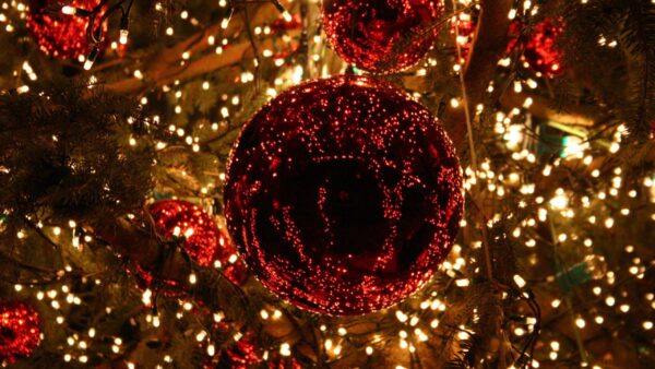 Wallpaper Christmas, View, Closeup, Ornaments, Red, Glitter, Tree, Decoration, Lights