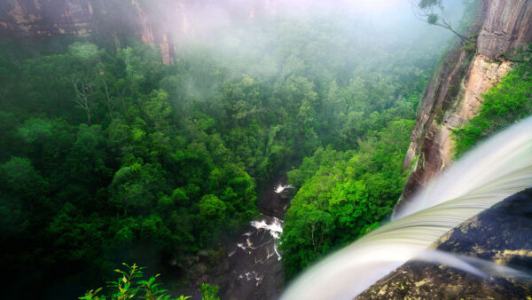 Wallpaper Rocks, Forest, Waterfalls, Green, Aerial, Nature, Mountain, View, Trees