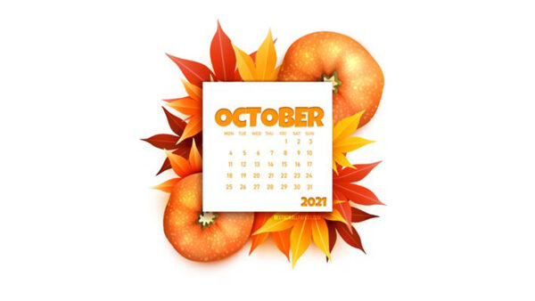 Wallpaper Background, Pumpkin, Calendar, Leaves, White, October, Autumn