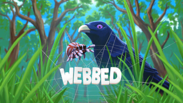 Wallpaper Bowerbird, Spider, Webbed