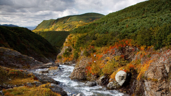 Wallpaper Under, Yellow, Hills, Slope, Leaves, Green, Stream, Orange, Sky, Water, Bushes, River, Desktop, Nature