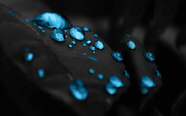 Wallpaper Droplets, Dark, Macro, Black, Blue