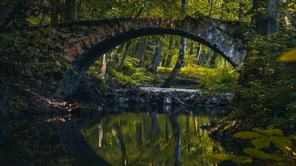 Wallpaper Desktop, Forest, Pond, Reflection, Bridge, Nature, Mobile