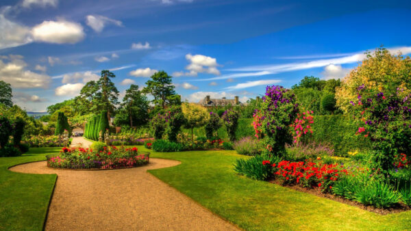 Wallpaper Nature, Grass, Green, Garden, Colorful, Sky, Trees, Blue, Scenery, Field, Beautiful, Background, Flowers