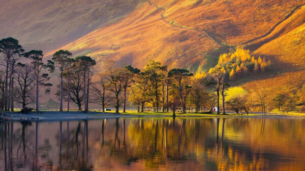 Wallpaper Trees, Green, Covered, And, Height, Sand, Desktop, Nature, Large, Buttermere, Reflection, Mountain, Lake, Landscape