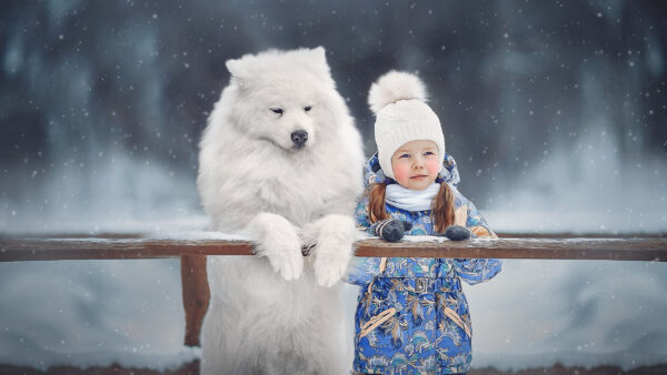Wallpaper Cute, Little, Printed, Near, Dress, Blue, Samoyed, Dog, With, Wood, Wearing, Standing, Girl, Fence