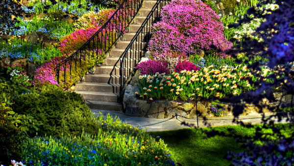 Wallpaper Beautiful, Stairs, Garden, Desktop, Between, Flowers