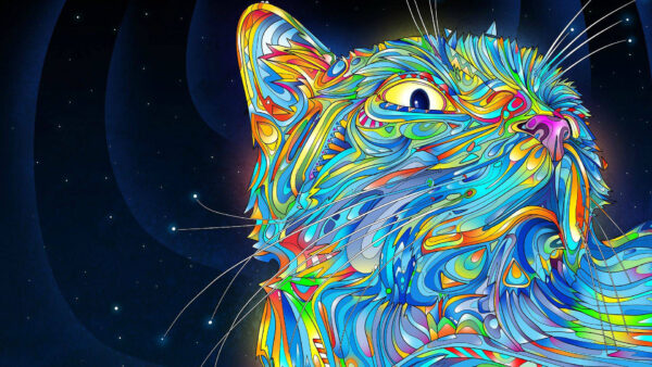 Wallpaper Cat, Desktop, Hippie