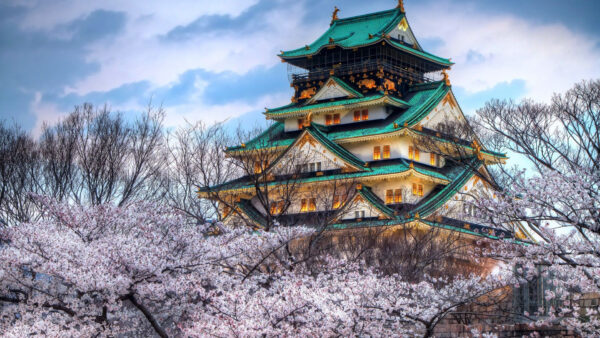 Wallpaper White, House, Colorful, Decorated, Blossom, Surrounded, Japanese, Trees
