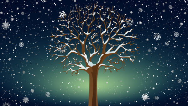 Wallpaper White, Tree, Desktop, Winter, Snowflake
