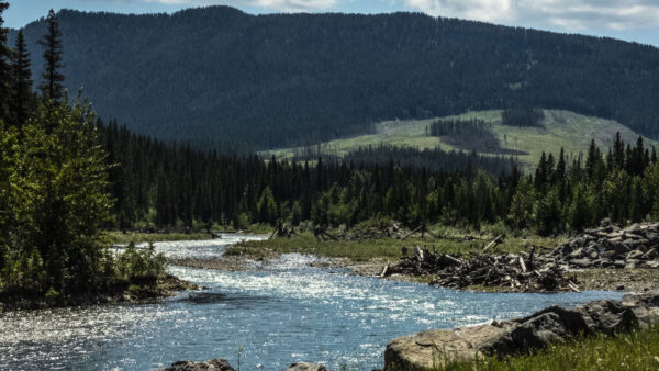 Wallpaper Green, Mobile, Rocks, Desktop, Forest, Logs, Wood, Nature, Trees, Landscape, Covered, View, River, Mountains