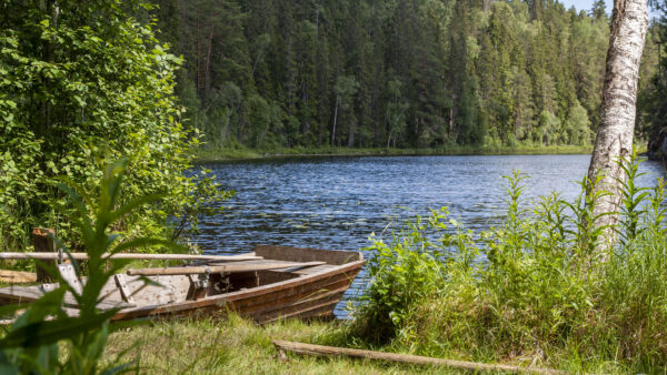 Wallpaper Near, Plants, Daytime, Green, Bushes, Mobile, Nature, Trees, Grass, Lake, Desktop, Field, During, Boat