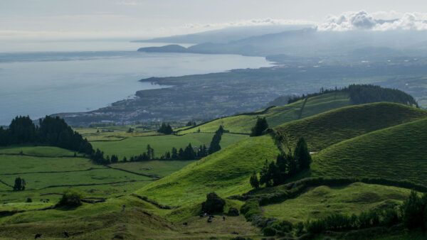 Wallpaper View, Trees, Desktop, Mobile, Aerial, Green, Ocean, Landform, Nature, Slope, Hills, Grass