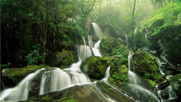 Wallpaper Nature, Waterfalls, Surrounded, Covered, Rocks, Forest, Background, Trees, Algae, Green