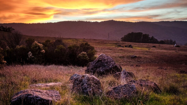 Wallpaper During, Trees, Mobile, Stones, Mountains, Green, Field, Dry, Rocks, Grass, Sunset, Desktop, Nature