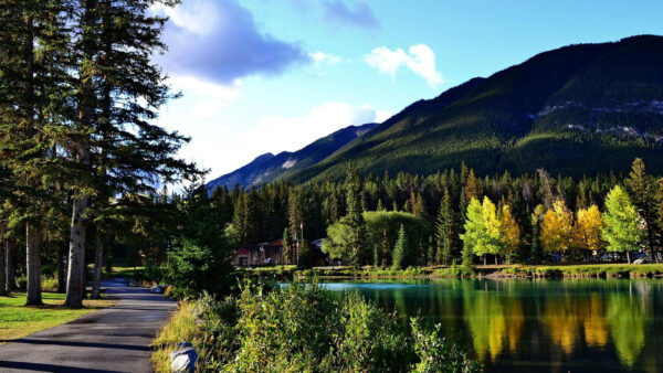 Wallpaper Trees, Landscape, Nature, Background, River, Reflection, Green, Forest, View, Mountains