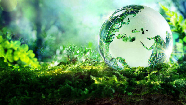 Wallpaper Sphere, Nature, Green, Glass, Blur, Bushes, Leaves, Background, Plants, Reflection