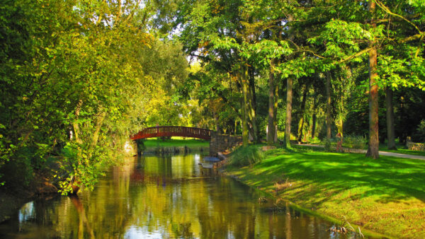 Wallpaper Landscape, Nature, View, Field, Grass, Green, Trees, Above, Bushes, Bridge, Water, Road