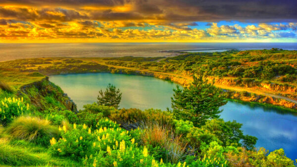 Wallpaper Trees, Blue, View, Green, Bushes, Clouds, Under, River, White, Sky, Plants, Nature, Aerial, Flowers, Yellow, Ocean