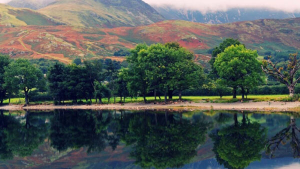 Wallpaper Beautiful, Reflection, Mountains, River, Trees, Green