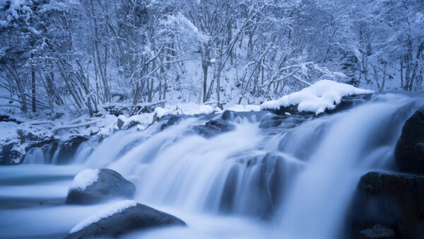 Wallpaper Nature, Winter, Trees, Background, Stream, Scenery, Frozen, Waterfall, Snow, With