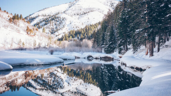 Wallpaper Spruce, Trees, Slope, Blue, Under, Covered, Reflection, Snow, Mountains, Sky, Lake, Green, Winter