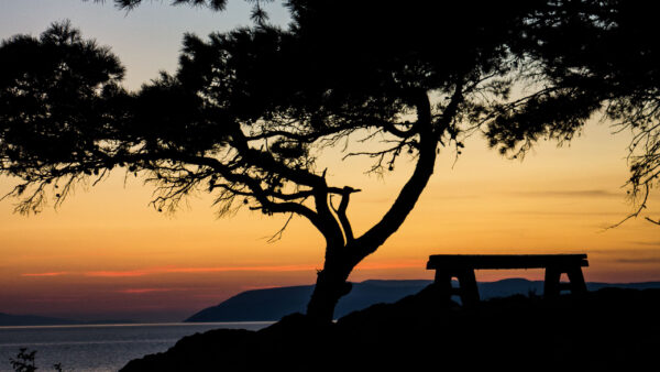 Wallpaper Bench, Mountain, Tree, Silhouette, Ocean, Dark, Background, Desktop, Sunset, Branches