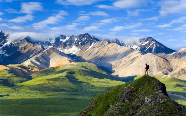 Wallpaper National, Denali, Park