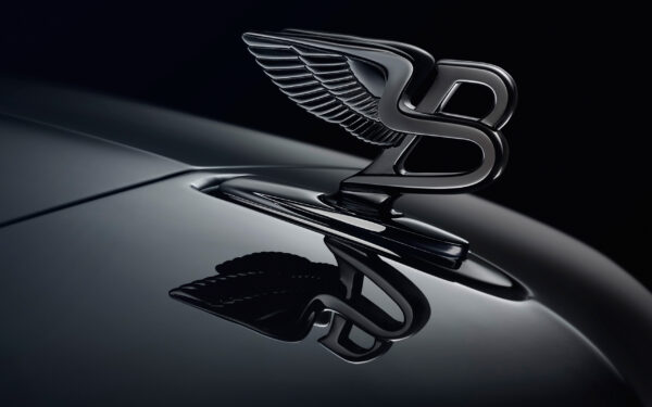 Wallpaper Bentley, Logo